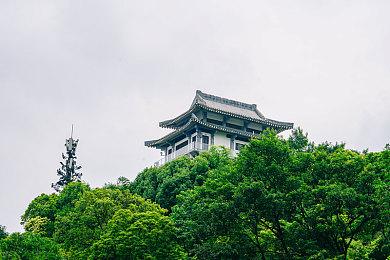 《怪物猎人：荒野》新视频 猎人近身大战巨型辟兽